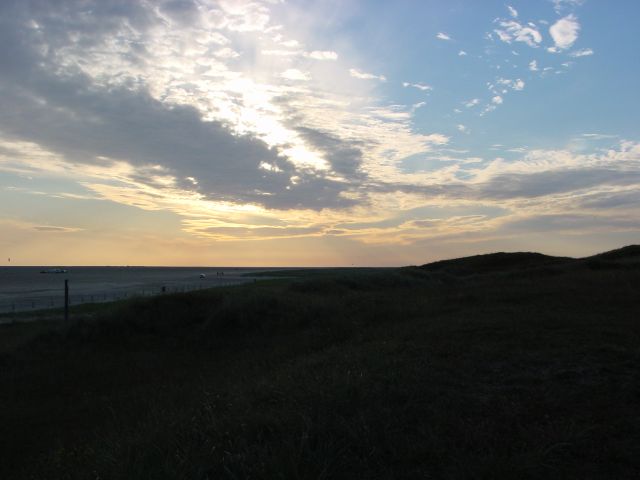 02060815.jpg