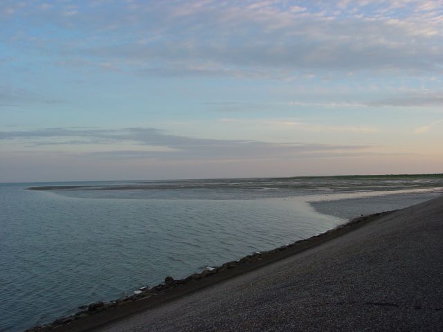 02060819.jpg