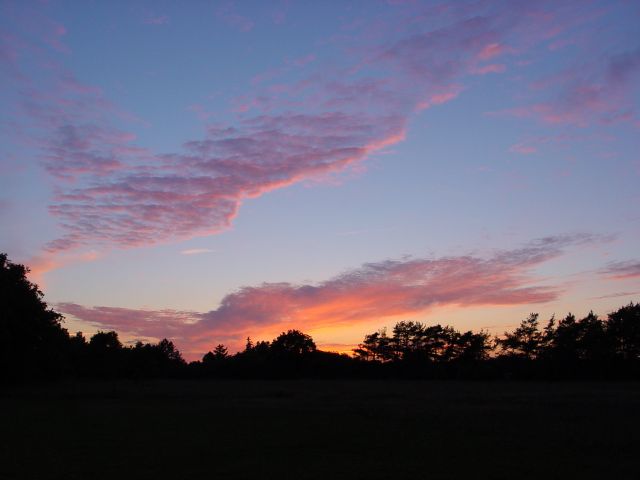 02060830.jpg