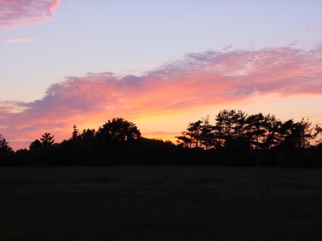 02060831.jpg