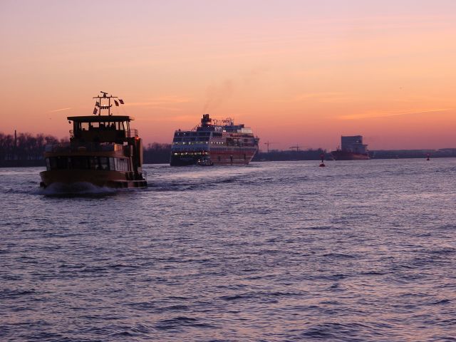 dsc01465.jpg