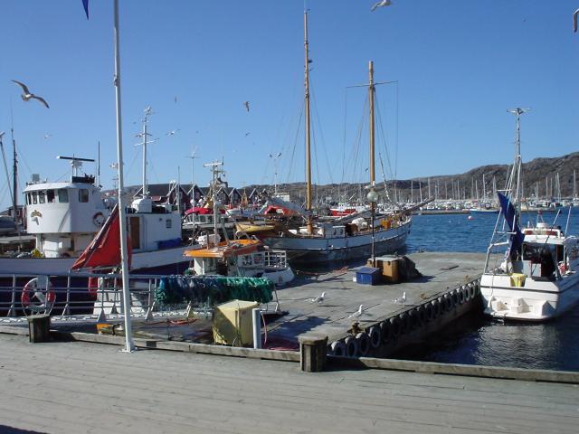 tag_4_056.jpg