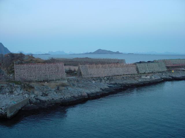 tag_4_091.jpg