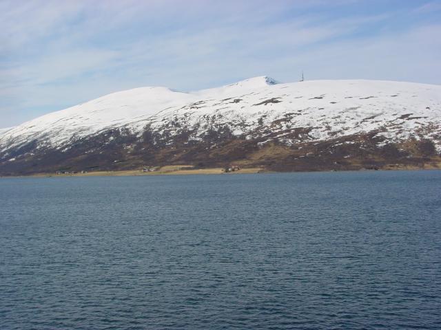 tag_5_035.jpg