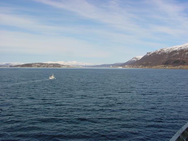 tag_5_038.jpg