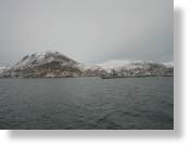 tag_6_010.jpg
