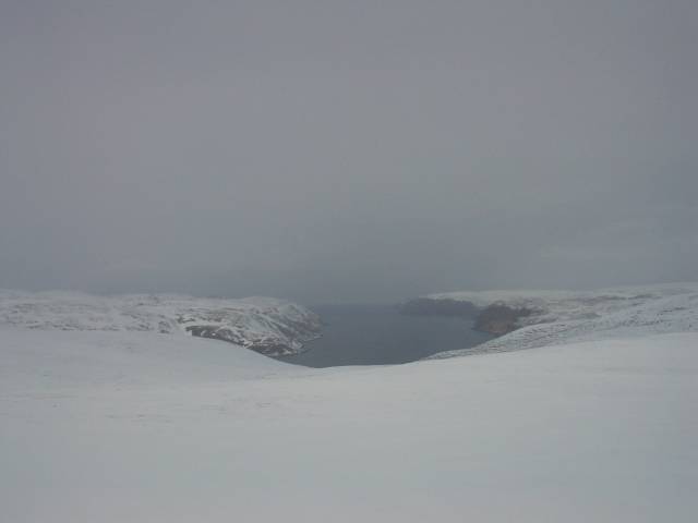 tag_6_016.jpg