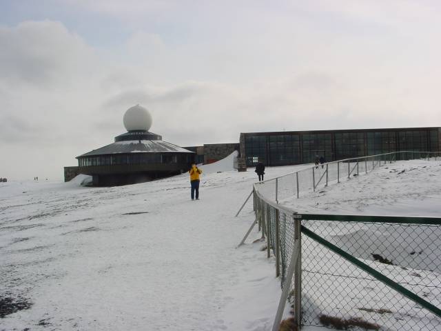 tag_6_023.jpg