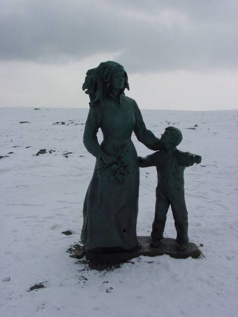 tag_6_031.jpg