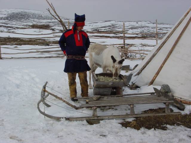 tag_6_040.jpg