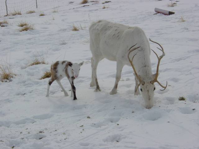 tag_6_042.jpg