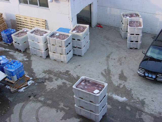tag_6_051.jpg