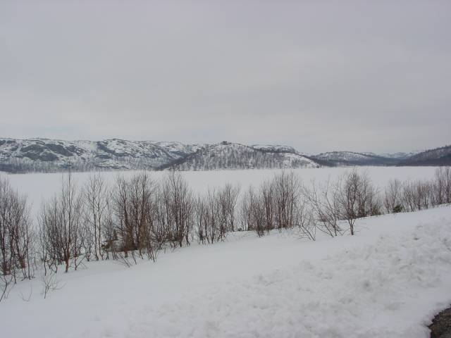 tag_7_010.jpg
