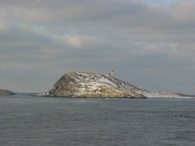 tag_7_024.jpg