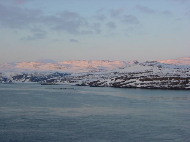 tag_7_055.jpg