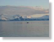 tag_8_060.jpg
