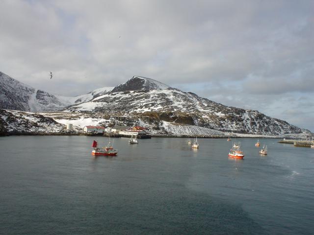 tag_8_005.jpg