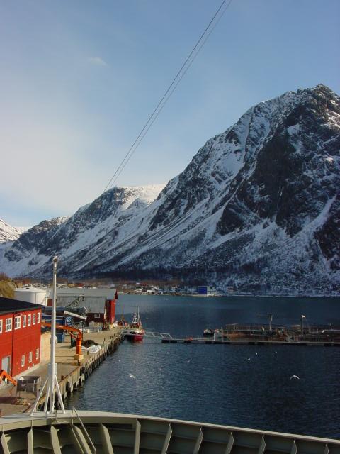 tag_8_038.jpg