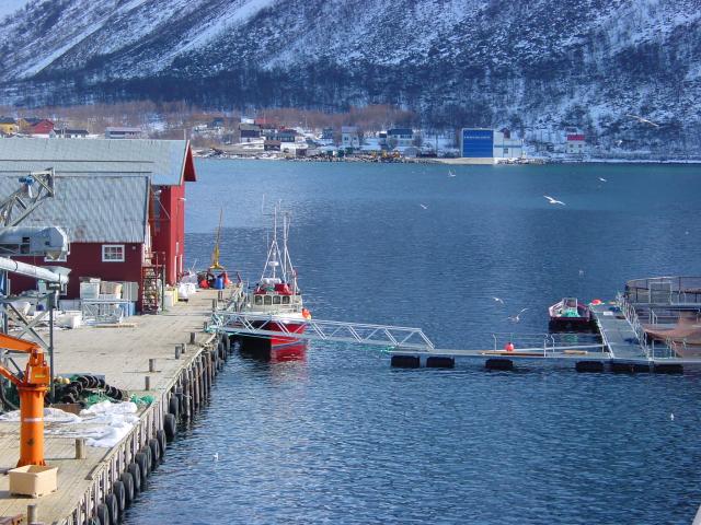 tag_8_039.jpg