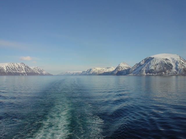 tag_8_043.jpg