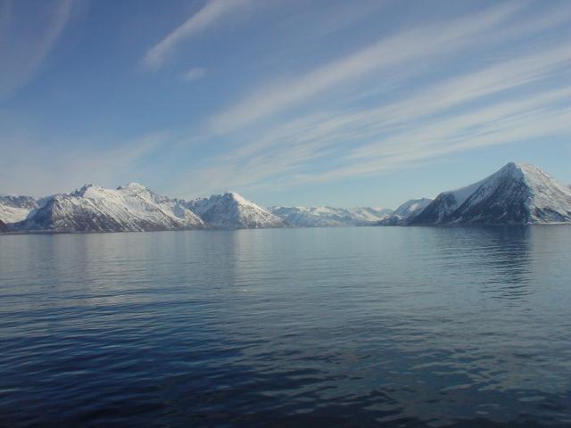 tag_8_045.jpg