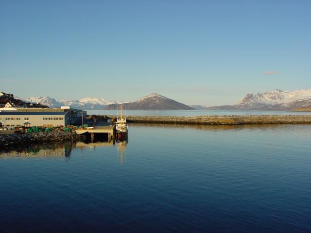 tag_8_049.jpg