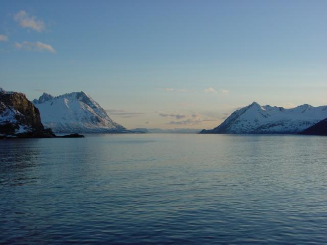tag_8_057.jpg