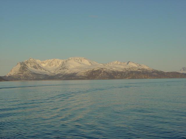 tag_8_058.jpg