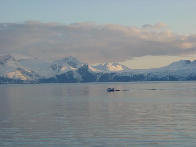 tag_8_060.jpg