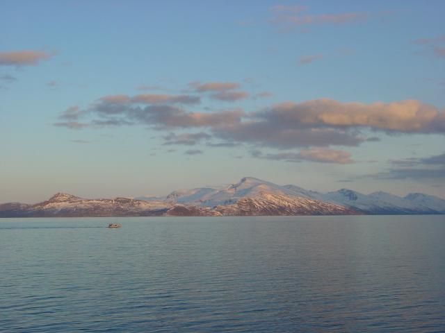 tag_8_061.jpg