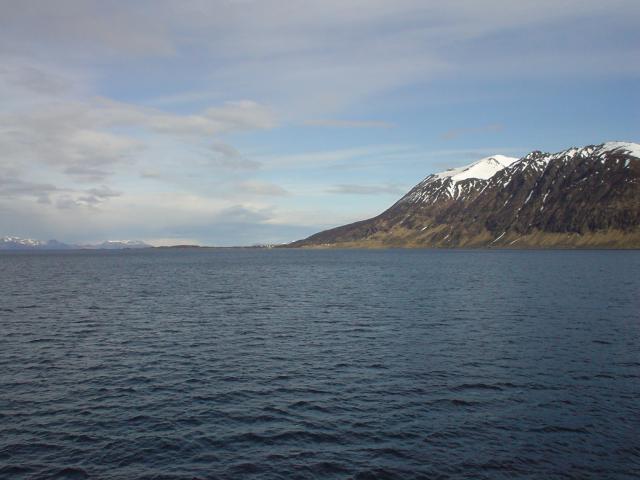 tag_9_007.jpg