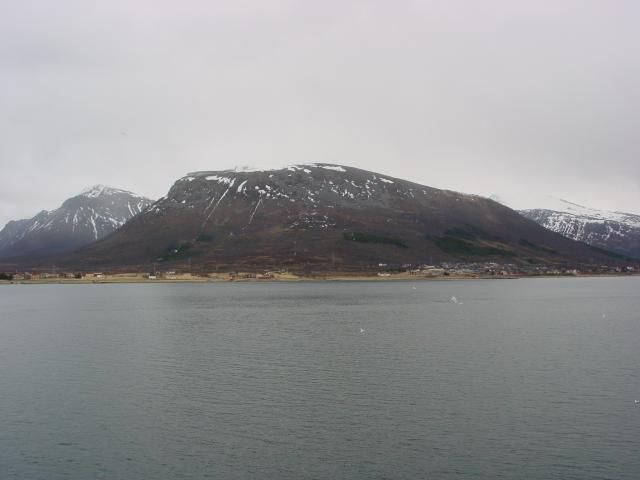 tag_9_029.jpg