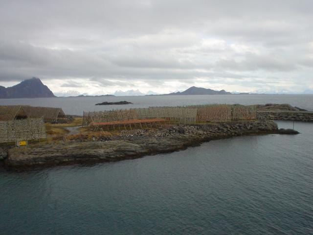 tag_9_060.jpg