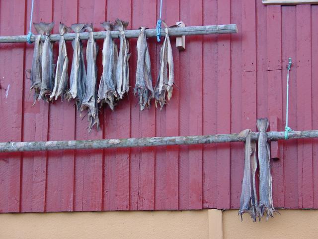 tag_9_082.jpg