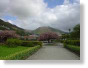 tag_12_043.jpg
