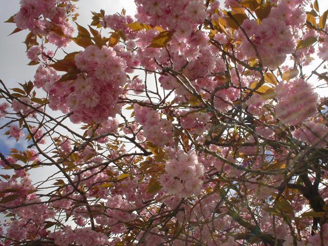 tag_12_042.jpg