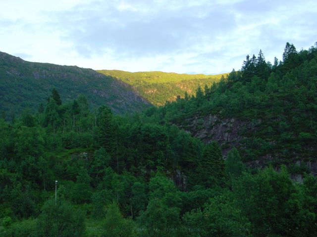 02061479.jpg