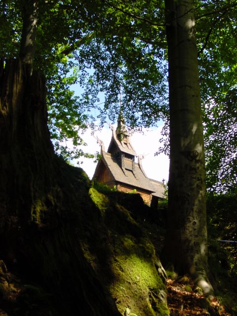 02061480.jpg