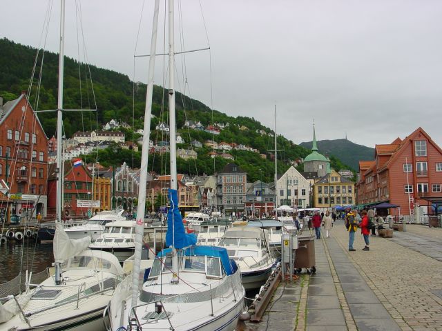 02061510.jpg