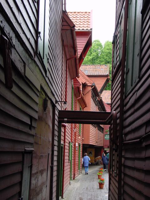 02061513.jpg