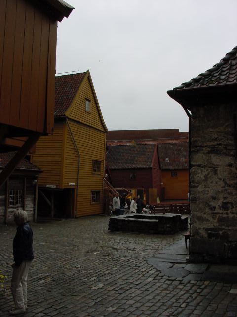 02061515.jpg