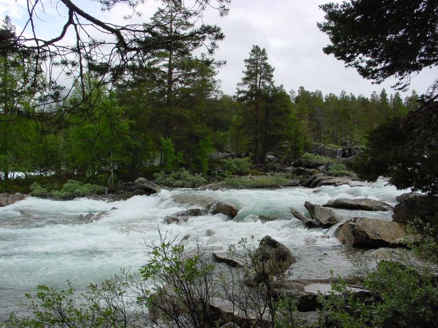 02062050.jpg