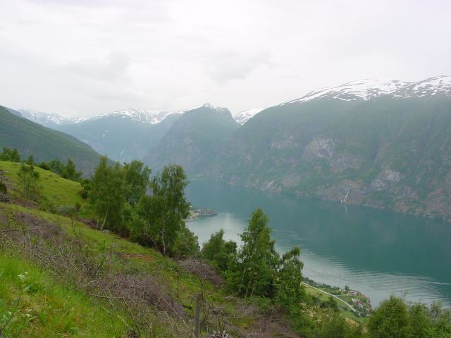 02061709.jpg