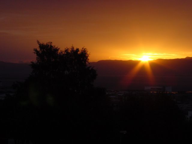 020618a04.jpg