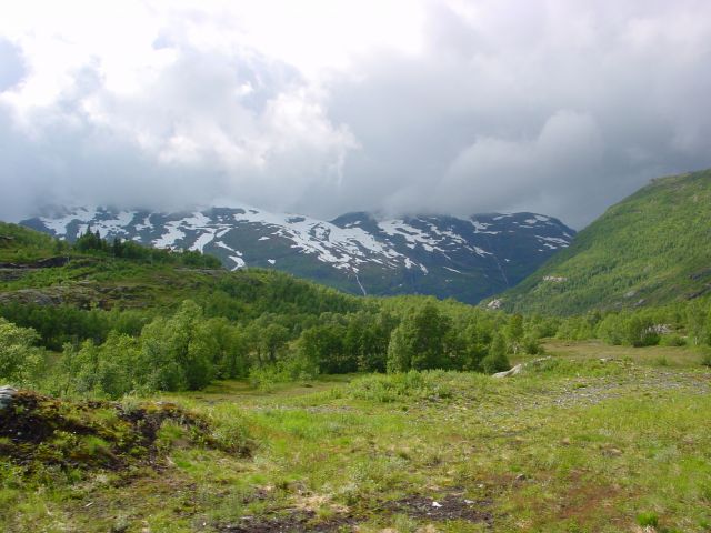 020616a15.jpg
