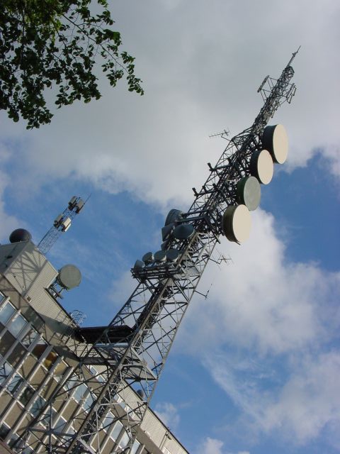 02061146.jpg