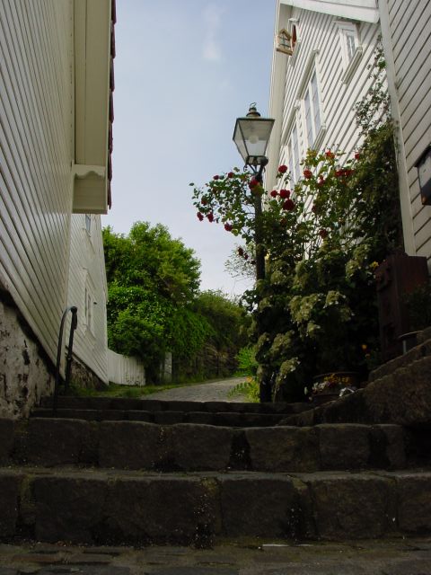 02061203.jpg