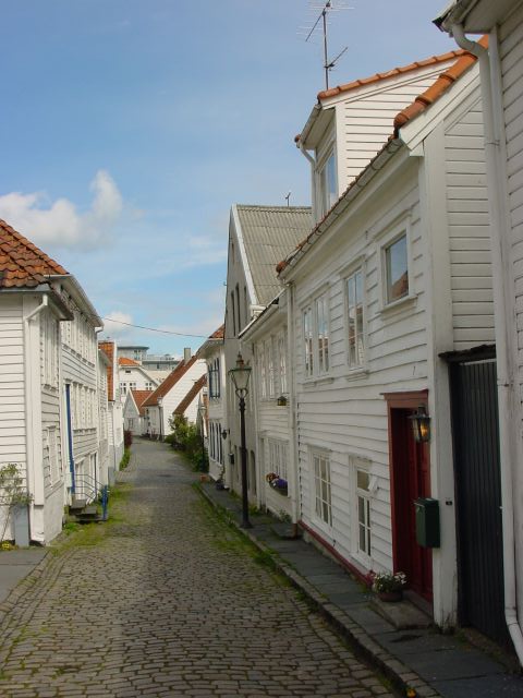 02061206.jpg