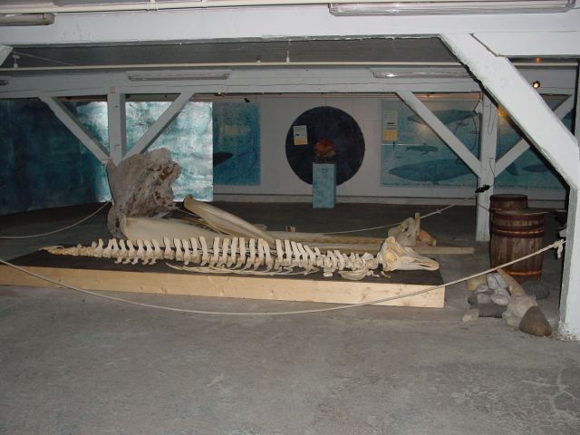 02062801.jpg
