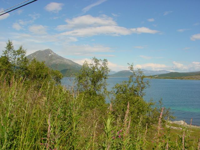 02062854.jpg